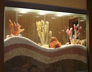 Сухой аквариум