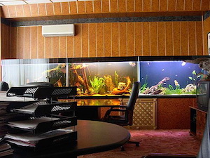 Офисный аквариум