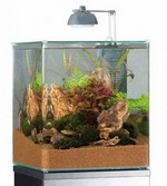Нано-аквариум