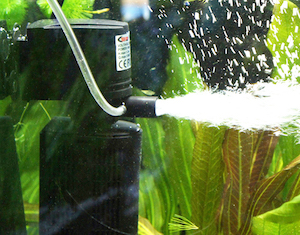 Фильтрация воды в аквариуме