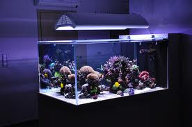 аквариумные светильники