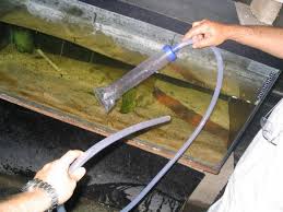 Чистка аквариумного грунта